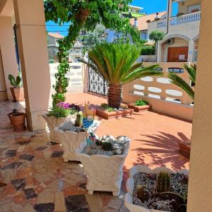 - une terrasse avec un bouquet de cactus et de plantes dans l'établissement BOUGANVILLE casa vacanza, à Pineto