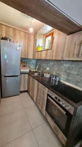uma cozinha com um frigorífico e um lavatório em ILIS House Matka em Skopje