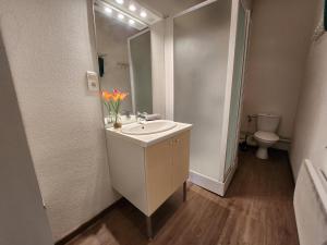 uma casa de banho com um lavatório, um espelho e um WC. em Gite Jonquille 2 à 8 personnes avec SPA em Ventron