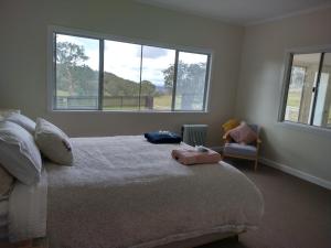 een slaapkamer met een bed en 2 ramen bij Galah Cottage Stanthorpe in Dalveen