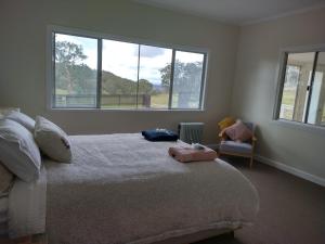 une chambre avec un lit et deux fenêtres dans l'établissement Galah Cottage Stanthorpe, à Dalveen