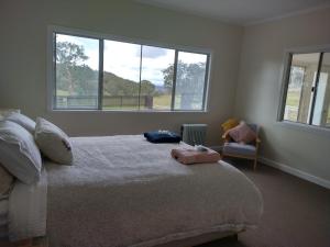 a bedroom with a bed and two windows at Galah Cottage Stanthorpe in Dalveen