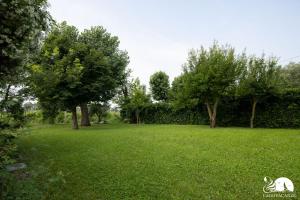 een veld van groen gras met bomen en een witte hond bij Cascina Polone in Sirmione