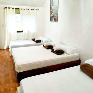 a group of three beds in a room at Siargao Tropic Hostel in General Luna