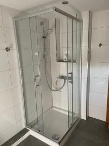 La salle de bains est pourvue d'une douche avec une porte en verre. dans l'établissement Ferienwohnung Hildfeld KORS, à Winterberg