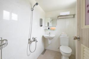 a bathroom with a shower and a toilet and a sink at 乘風之旅溫馨包層華廈每日只接待一組客人最多6人 in Yilan City