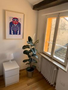 une chambre avec une plante en pot et une fenêtre dans l'établissement Domus Pioppa, à Modène