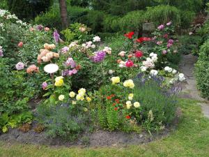 um jardim de flores coloridas num quintal em Ferienwohnung S. Viering em Bernau bei Berlin