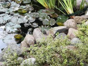 Foto Bernau bei Berlinis asuva majutusasutuse Ferienwohnung S. Viering galeriist