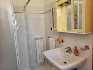 La salle de bains est pourvue d'un lavabo et d'une douche. dans l'établissement COLLINA FIORITA, à Tollo