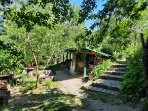 un jardín con un pequeño refugio con escaleras y árboles en Wood Cabins in the heart of Transylvania, en Colţeşti