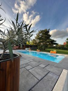 uma piscina com um vaso de plantas ao lado em Einzigartiges Haus mit Pool großem Garten und Kamin em Bad Salzungen