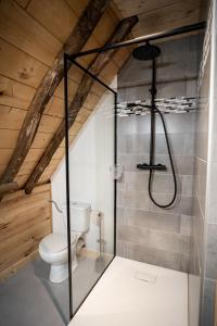 ein Bad mit einem WC und einer Glasdusche in der Unterkunft Les Terres Nères in Aucun
