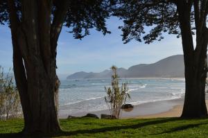a beach with two trees and the ocean at Apartamento El Olivo in Noja