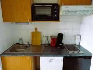 eine Küchentheke mit einer Spüle und einer Mikrowelle in der Unterkunft Bel appartement - superbe vue - piscine in Font Romeu Odeillo Via