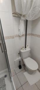 La salle de bains blanche est pourvue d'une douche et de toilettes. dans l'établissement Studio, TopdestinationBretagne, à Montoir-de-Bretagne