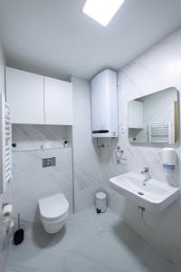 Vonios kambarys apgyvendinimo įstaigoje Apart Kraft