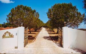 een lege weg met witte hekken en bomen bij Quinta da Bela Vista in Lagos