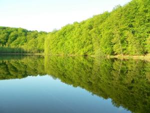 a view of a river with trees reflecting in the water at Bungalow Nr_ 9 _ 10 in Binz