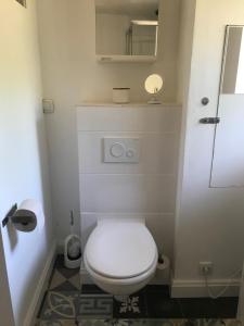 un piccolo bagno con servizi igienici bianchi e specchio di Gemütliche Ferienwohnung an der Elbe a Bleckede Altre 17 foto
