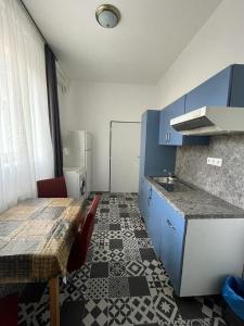 cocina con mesa, fregadero y armarios azules en Apartment Gato, en Karlovy Vary