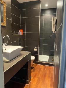 een badkamer met een wastafel, een toilet en een douche bij Le Chai de Marguerite in Peyriac-Minervois