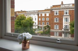 waza z białymi kwiatami siedzącymi na parapecie w obiekcie Kensington High Street One Bed w Londynie