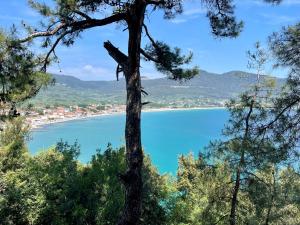 Peisaj natural din apropierea acestei case de vacanță