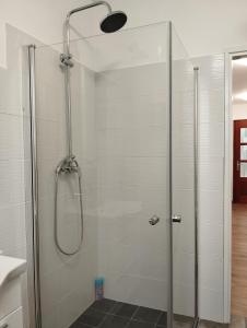 La salle de bains est pourvue d'une douche avec une porte en verre. dans l'établissement DAAL, à Roč