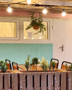 une longue table avec des plantes en pot en haut dans l'établissement Pavlove Tiny Bus House in Qabala, à Qabala