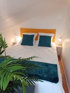 um quarto com uma cama com almofadas azuis e uma planta em Le Richelieu 3 chez Adrien em Saint-Quentin