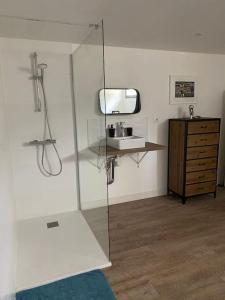 La salle de bains est pourvue d'un miroir, d'un lavabo et d'une télévision. dans l'établissement Loft proche centre ville Hôtes habitant à l étage, à Laval