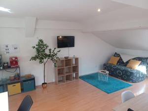 a living room with a couch and a tv at Le Richelieu 3 chez Adrien in Saint-Quentin