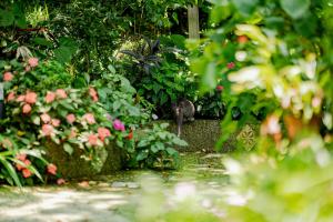 Vrt pred nastanitvijo 南庄橄欖樹咖啡民宿 Olive Tree Village Guesthouse