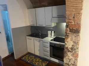 een kleine keuken met witte kasten en een wastafel bij Casa Centrale in Pisa