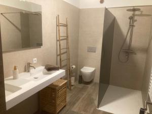 uma casa de banho com um lavatório, um chuveiro e um WC. em Les Terrasses de Sax em Dinant