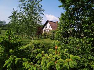 a house in the middle of a garden with plants at Podroże Chëcz in Charbrowo