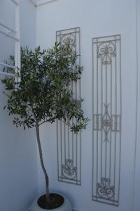 Cute Studio in Milos في تريبيتي: شجرة في وعاء أمام الجدار