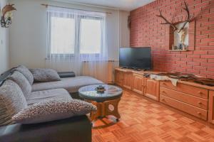 ein Wohnzimmer mit einem Sofa und einem Flachbild-TV in der Unterkunft Holiday House Radovna Bled in Zgornje Gorje