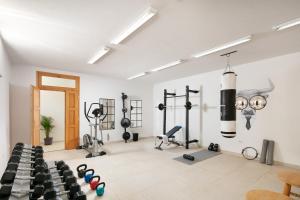 a gym with a bunch of exercise equipment in a room at Residence Pietre d'Istria - with private service in Burići