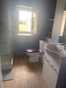 een badkamer met een toilet, een wastafel en een raam bij maison à la campagne in Quinson