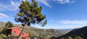 a pine tree in front of a red house at Mas des Buscades in Cabris