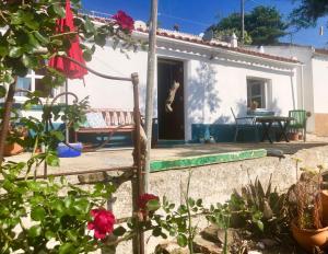 une petite maison blanche avec une véranda et des fleurs dans l'établissement Casa Anneli - relaxing under the olive tree, à Aljezur
