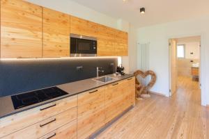 Kuchyňa alebo kuchynka v ubytovaní Brenta Rosso - Charme Apartments