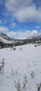 Un campo cubierto de nieve con algunas plantas. en Cabaña Challhuaco, en San Carlos de Bariloche