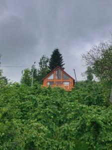 a house on top of a field of bushes at Zivera Bungalov in Trabzon