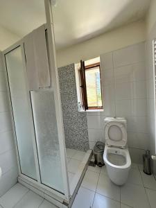 a bathroom with a toilet and a shower at Hostel Quku i Valbones in Valbonë