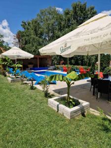 a group of tables and umbrellas next to a pool at Villa Gabino in Balatonberény