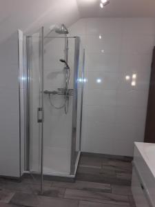 een douche met een glazen deur in een badkamer bij Ferienwohnung "Auszeit" - Familie Moll-Staudt, Langenargen am Bodensee in Langenargen