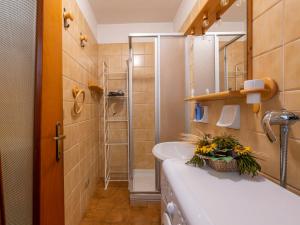 a bathroom with a sink and a shower at New apartment in Bormio - Centrale 20 in Piatta